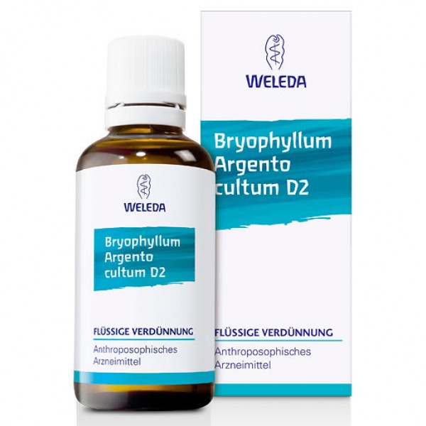 Капли при нарушениях сна и беспокойстве BRYOPHYLLUM ARGENTO cultum D 2 Dilution 50 мл Weleda Капли при нарушениях сна и беспокойстве BRYOPHYLLUM ARGENTO cultum D 2 Dilution 50 мл Weleda